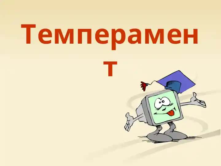 Темперамент