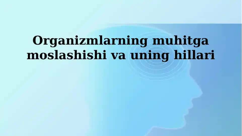Adaptatsiya