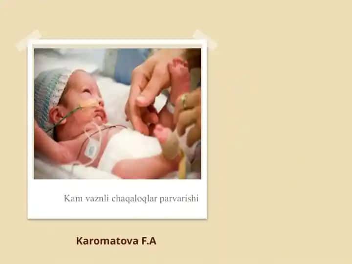 Kamvaznlicha qaloqlar parvarishi