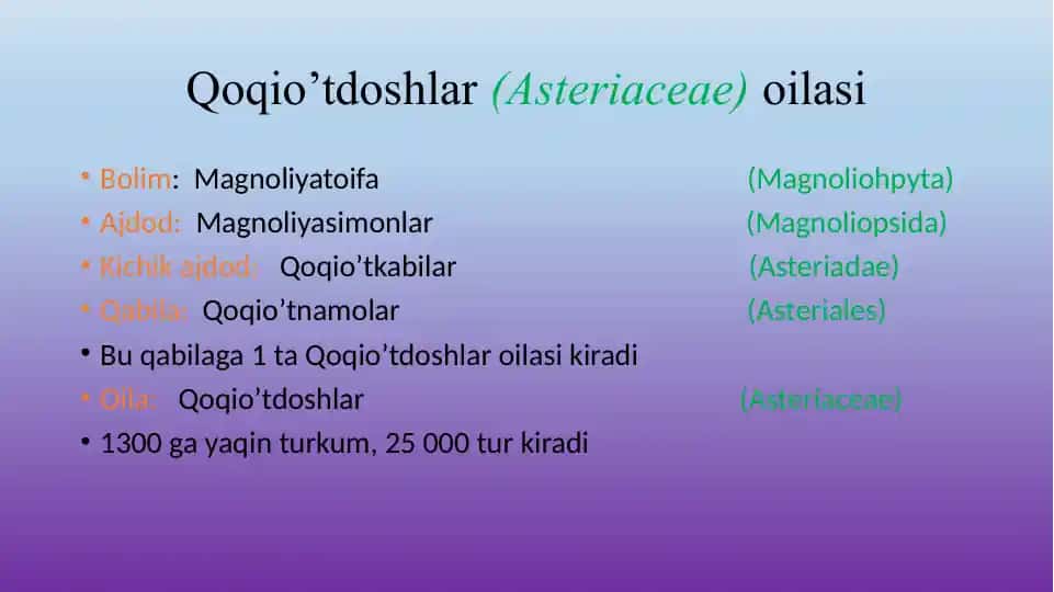 Qoqio’tdoshlar(Asteriaceae)oilasi