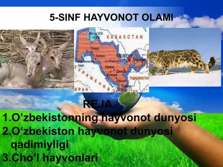 5-SINF HAYVONOT OLAMI