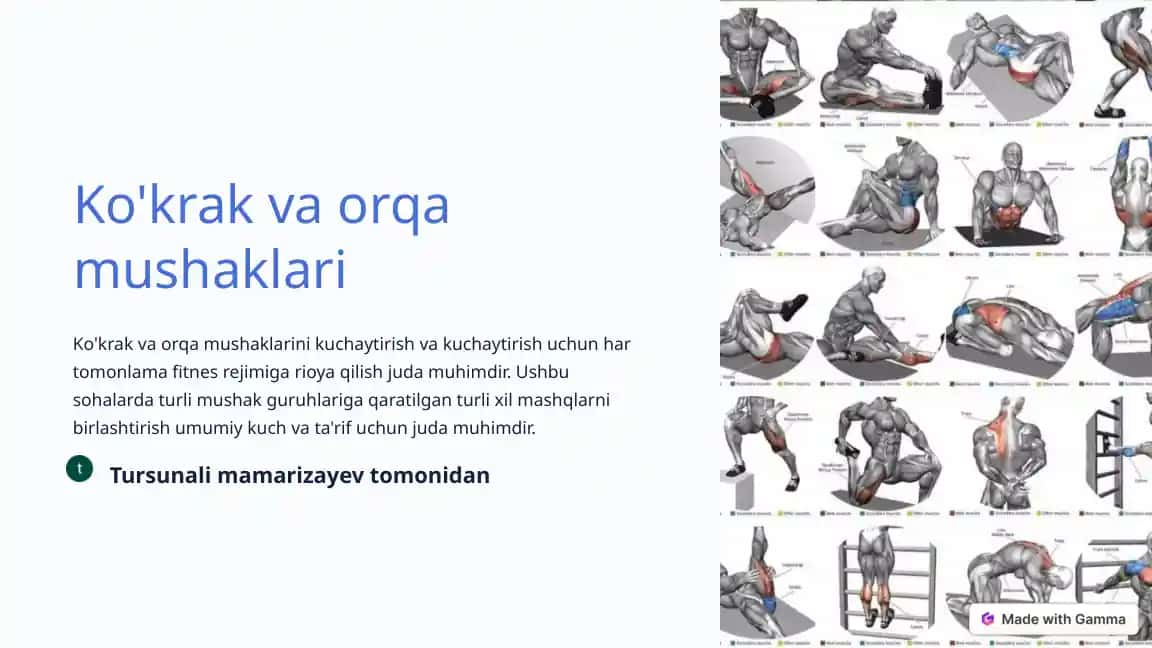 Ko'krak va orqa mushaklari
