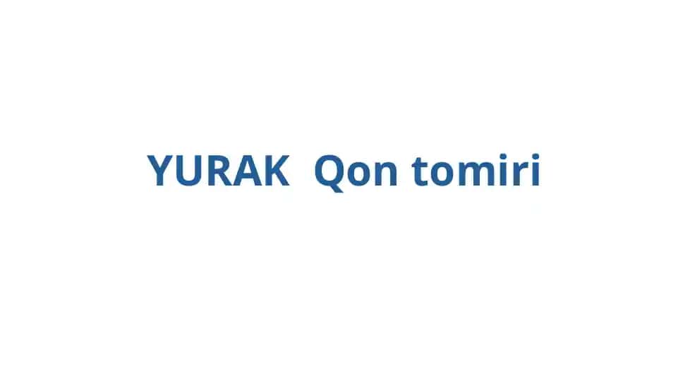 Yurak qon tomirlari