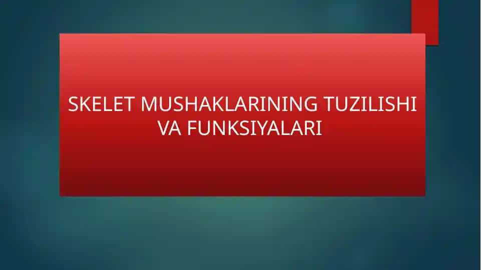 SKELET MUSHAKLARINING TUZILISHI VA FUNKSIYALARI