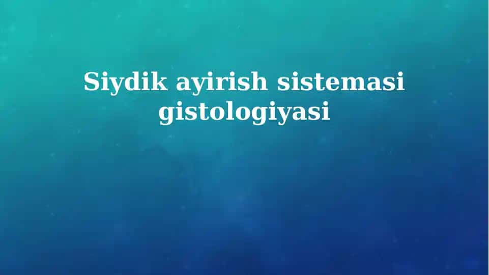 Siydik ayirish sistemasi gistologiyasi