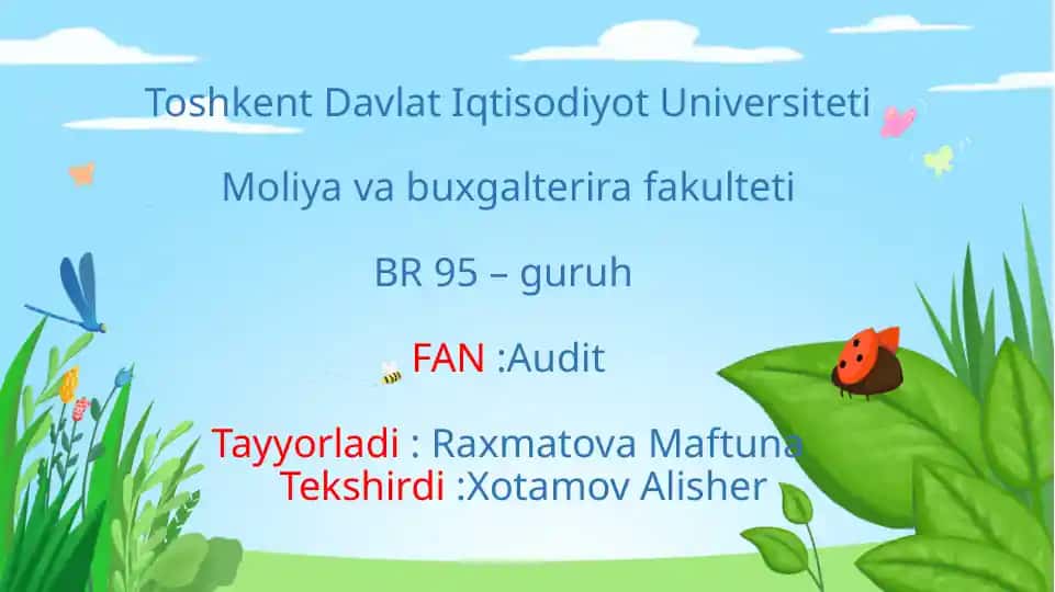 Auditorlik xulosasi