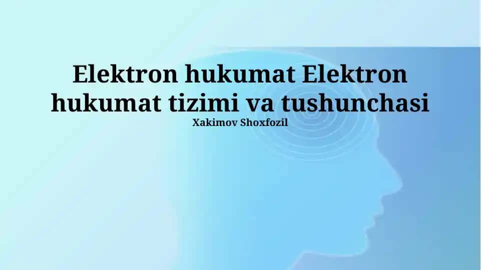 Elektron hukumat tizimi va tushunchasi