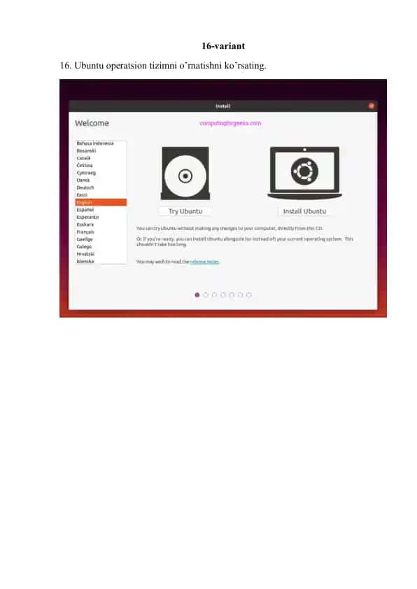 Ubuntu operatsion tizimni o’rnatish