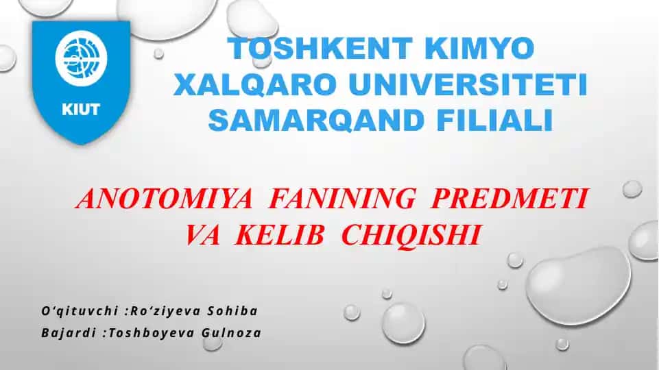İnson anatomiyasi va fiziologiyasi