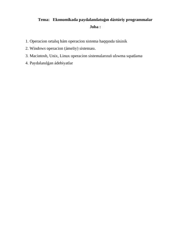 Ekonomikada paydalanılatuǵın dástúriy programmalar.docx