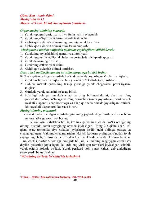 Yurak. Kichik kon aylanish tomirlari