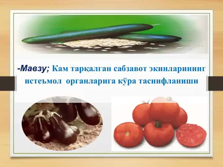 Sabzavot ekinlari va ularning istemol organlariga ko'ra tasniflanishi