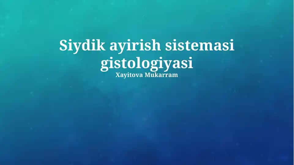 Siydik ayirish sistemasi gistologiyasi