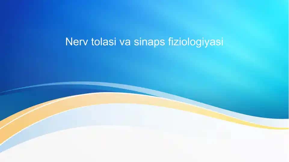 Nerv tolasi va sinaps fiziologiyasi