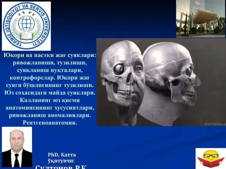 Yuqori va pastki jаg suyaklari anatomiya va rivojlanishi