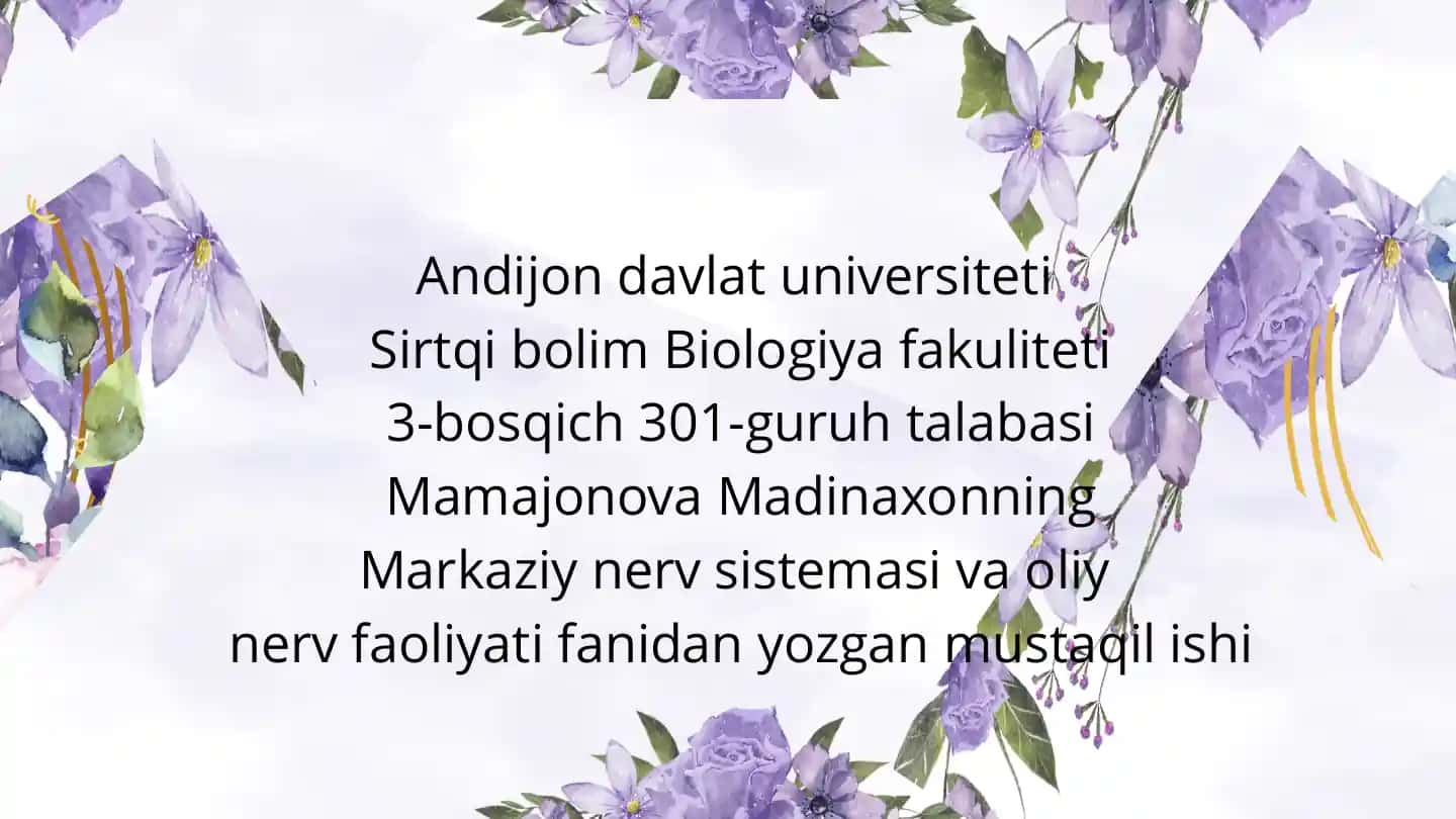 Sinapslar