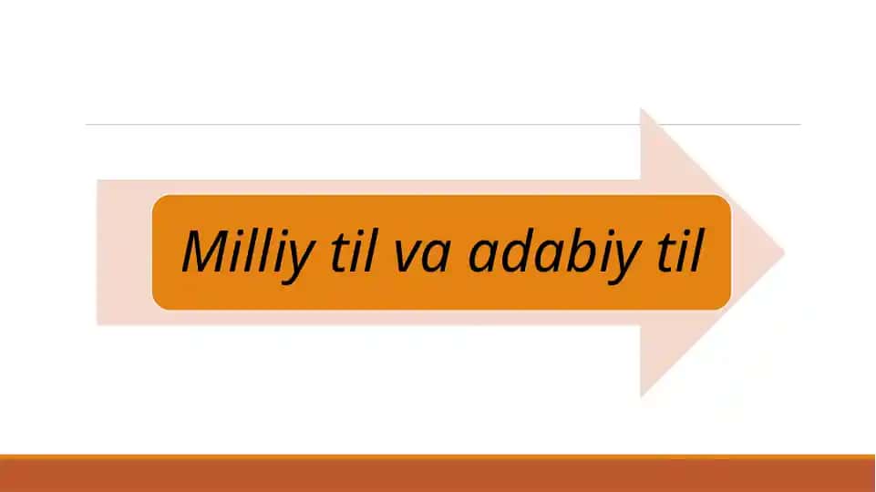 Adabiyot va Milliy Til O'qitish