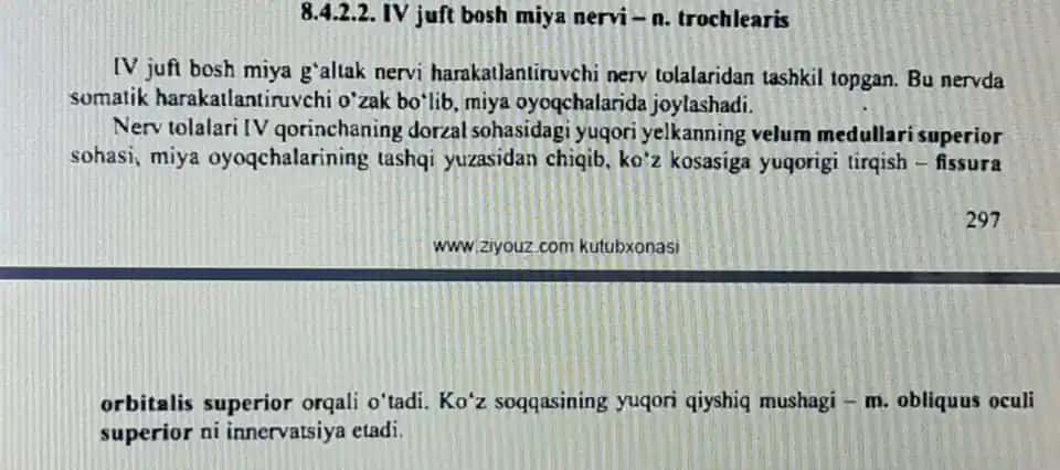 IV juft bosh miya nervi (n. trochlearis)