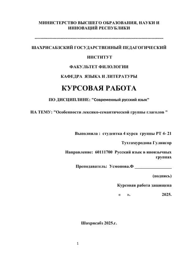 Курсовая работа "Современный русский язык"