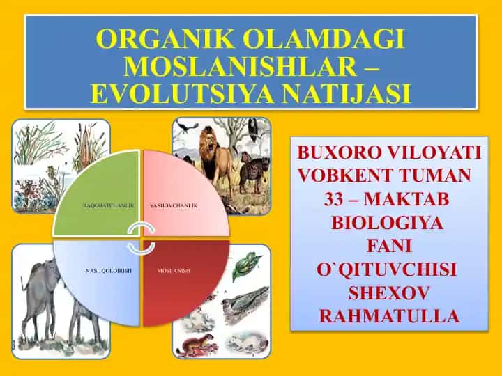 Organik O'lamdagi Moslanishlar - Evolutsiya Natijasi