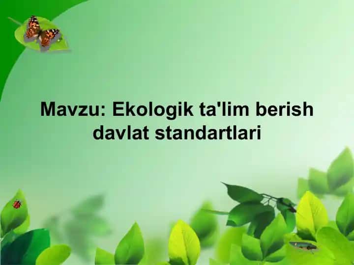 Ekologik ta'lim berish davlat standartlari