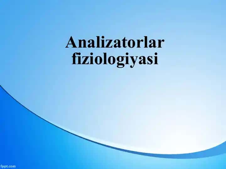 Analizatorlarfiziologiyasi