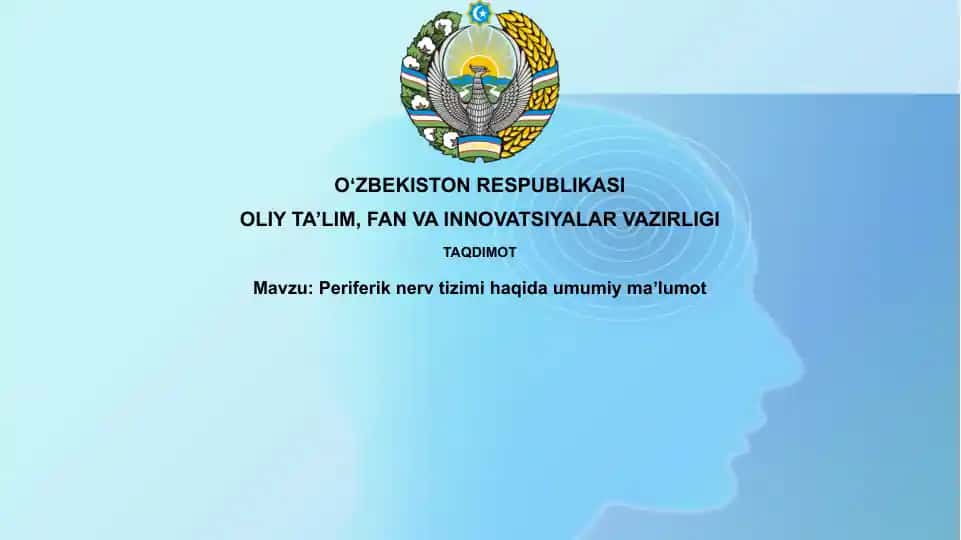 Periferik nerv tizimi haqida umumiy ma'lumot