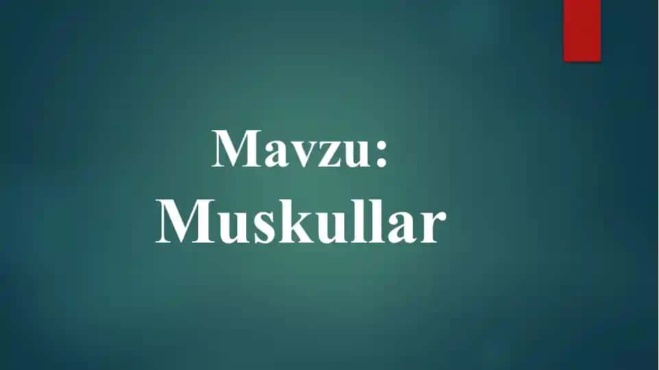 Muskullar taqdimoti