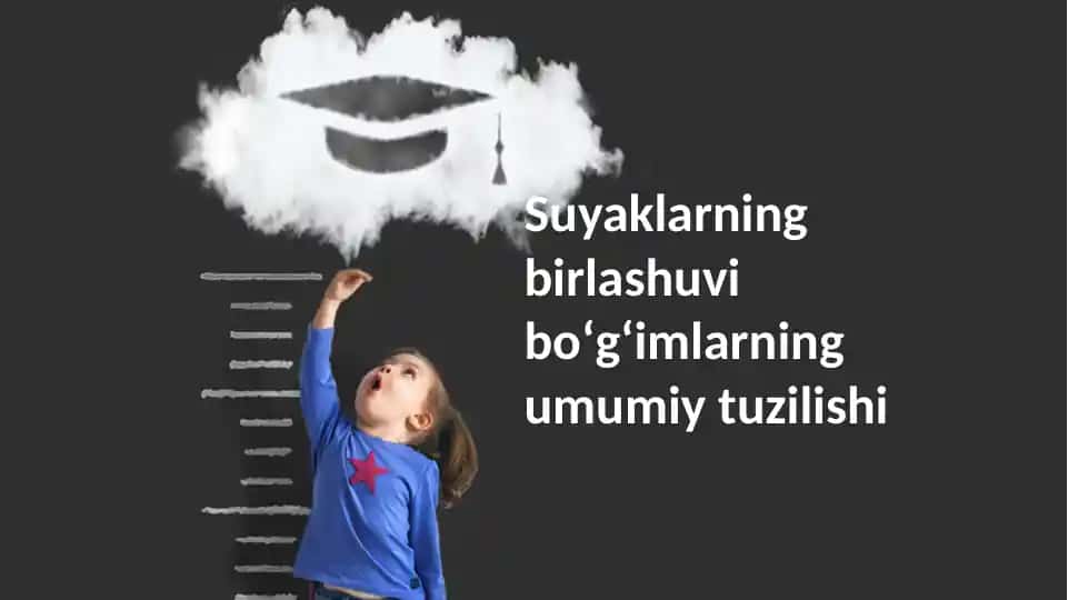 Suyaklarning qo'shilishi - bo'g'imlarning umumiy tuzilishi