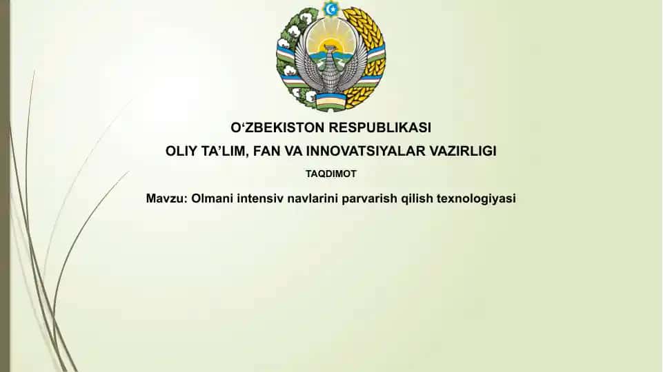 Olmani intensiv bog'dorchilik texnologiyasi