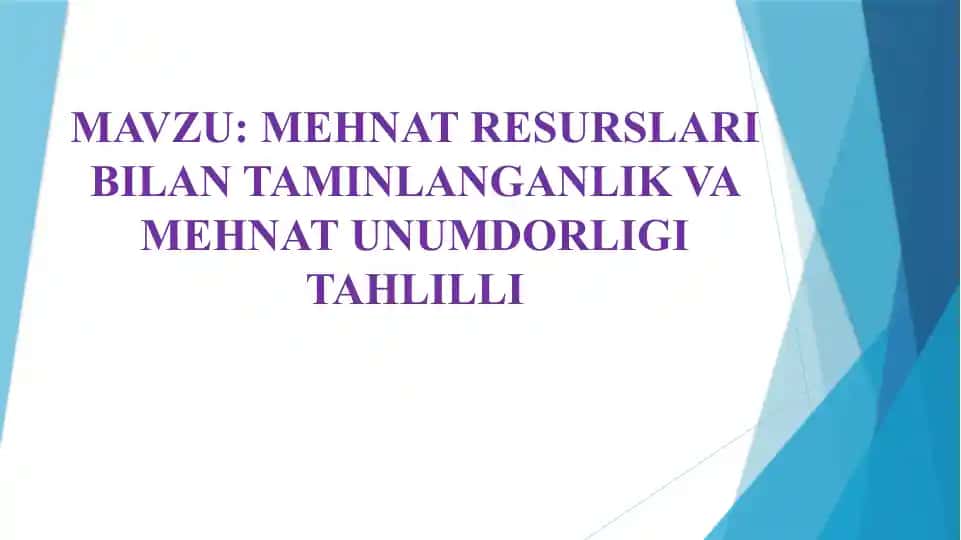 MEHNAT RESURSLARI BILAN TAMINLANGANLIK VA MEHNAT UNUMDORLIGI TAHLILLI