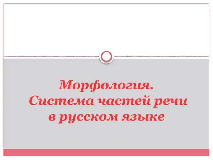 Русский язык. Морфология