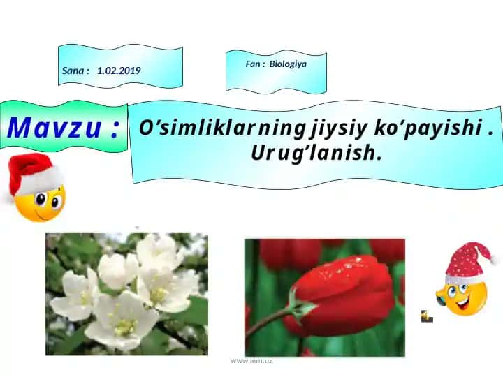 O'simliklarning jiysiy ko'payishi. Urug'lanish.