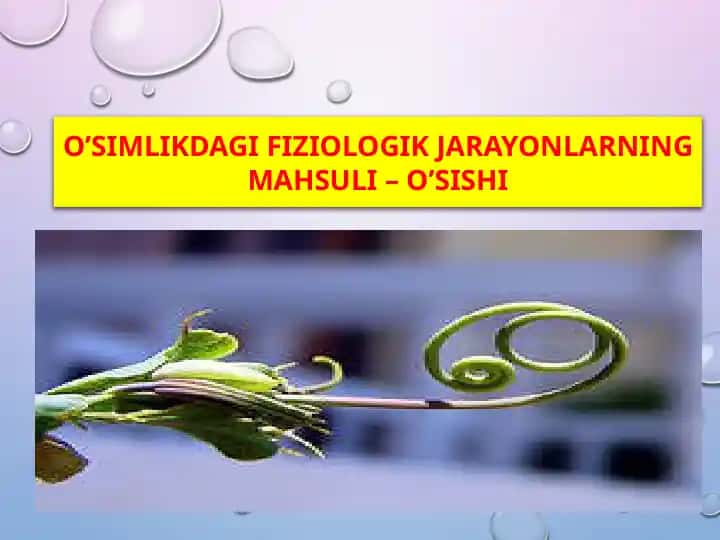 O’SIMLIKDAGIFIZIOLOGIK JARAYONLARNING MAHSULI – O’SISHI