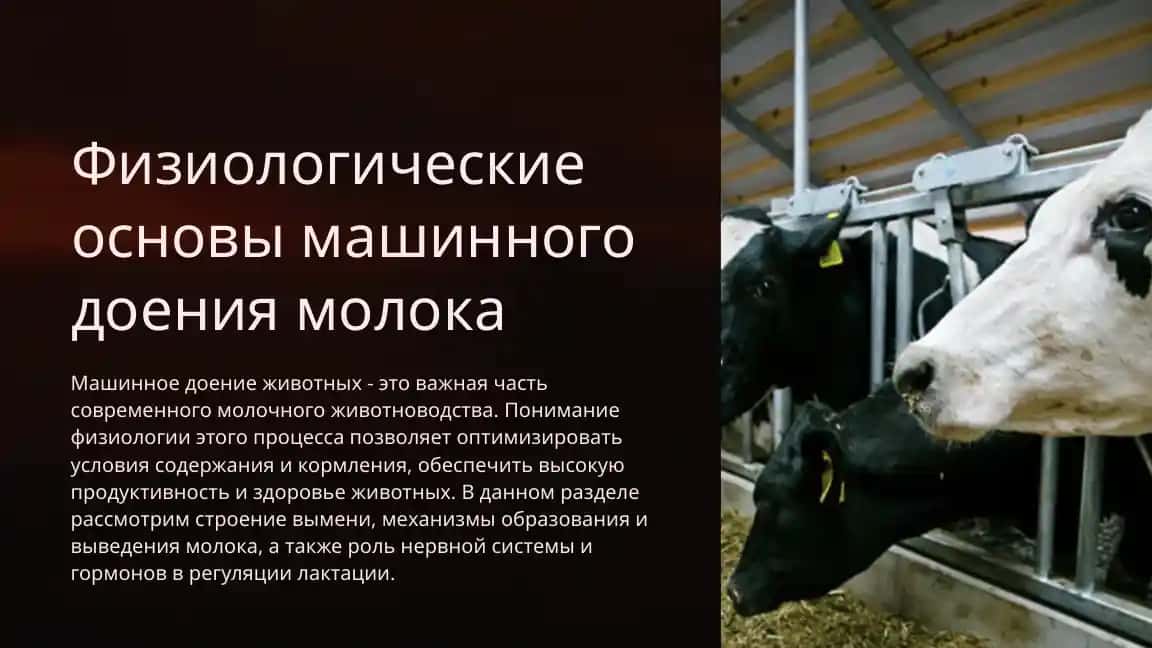 Физиологические основы машинного доения молока