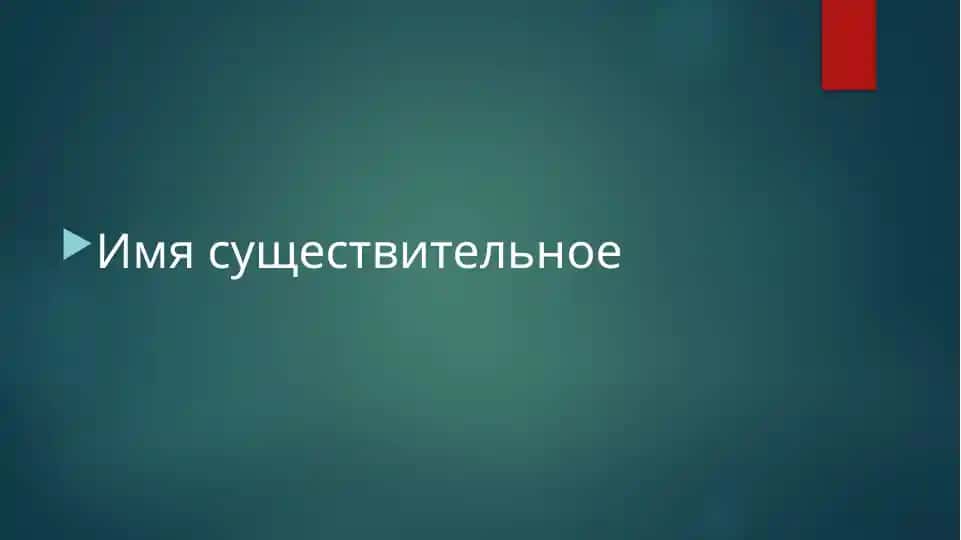 Имя существительное