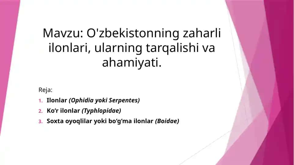 Ilonlar haqida ma'lumot
