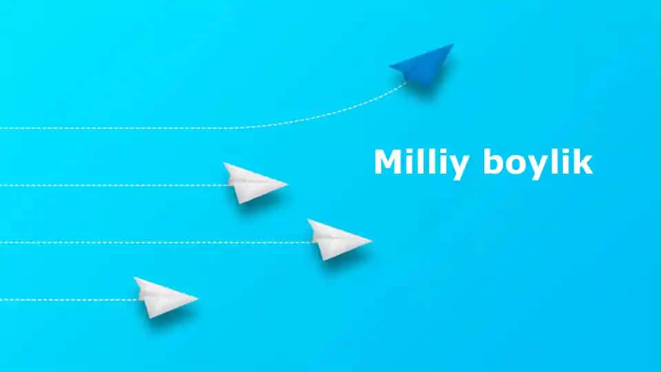 Milliyboylik