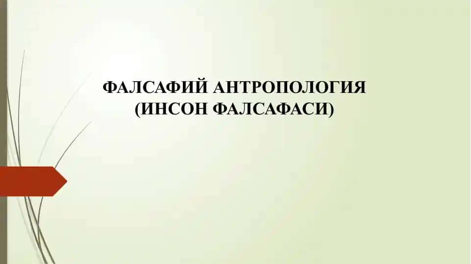 Фалсафий антропология (Инсон фалсафаси)