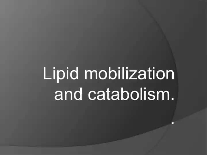 Lipid mobilization and catabolism