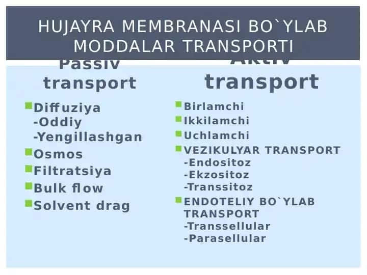 Passivtransport
