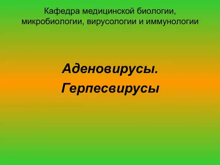 Аденовирусы