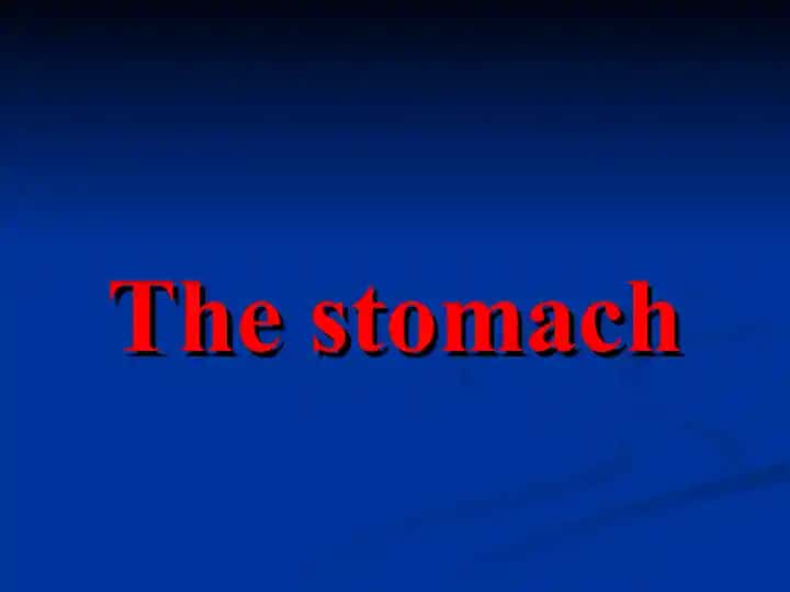 The stomach