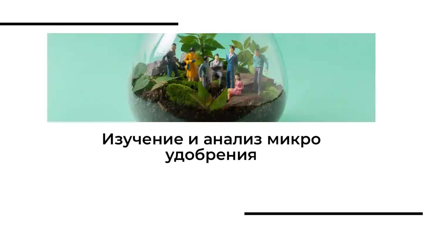 Микроудобрения