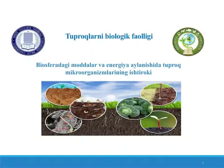 Tuproqlarni biologik faolligi