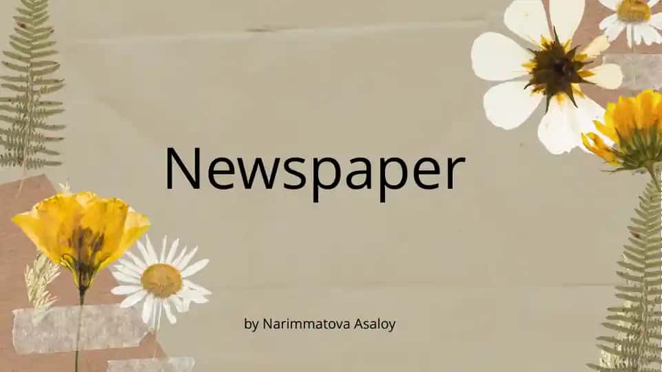 Newspaper