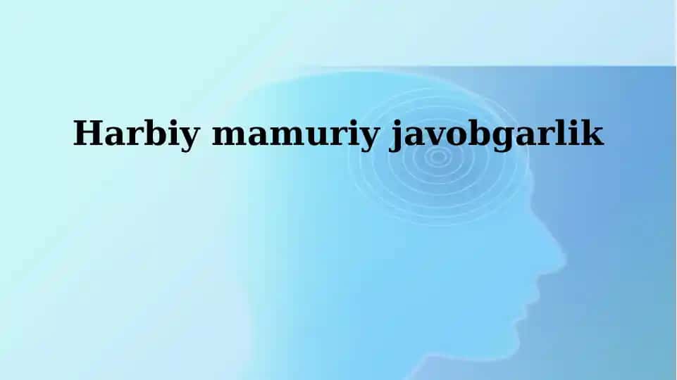 Harbiy ma'muriy javobgarlik