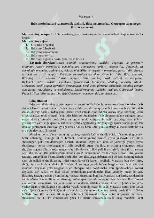 Ildiz morfologiyasi va anotomik tuzilishi. Ildiz metomorfozi.Geterogen va gomogen ildiz sistemasi