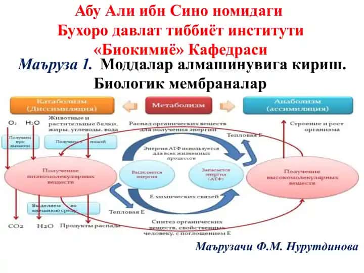 Биокимиё
