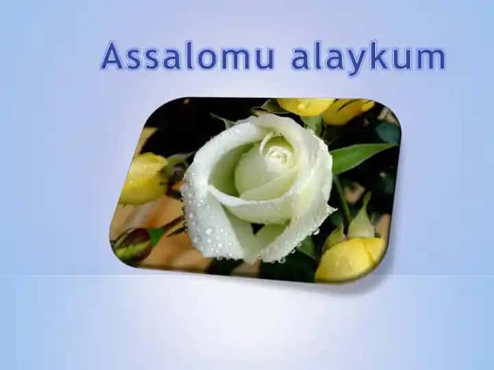 Kirish. Tasavvuf ta’limoti